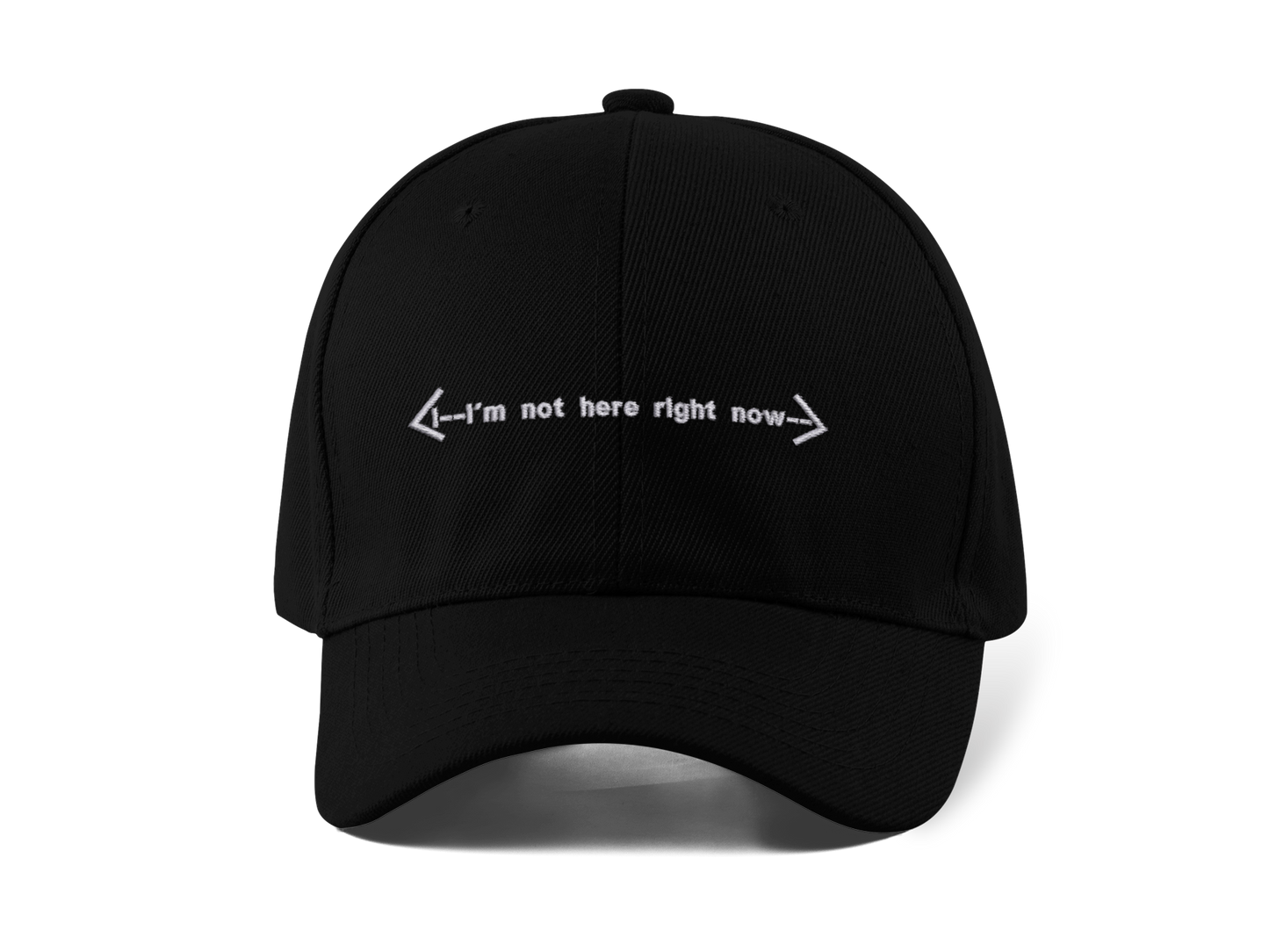 I'm Not Here Right Now Funny Computer Humor Embroidered Dad Hat | Traversing Stitches